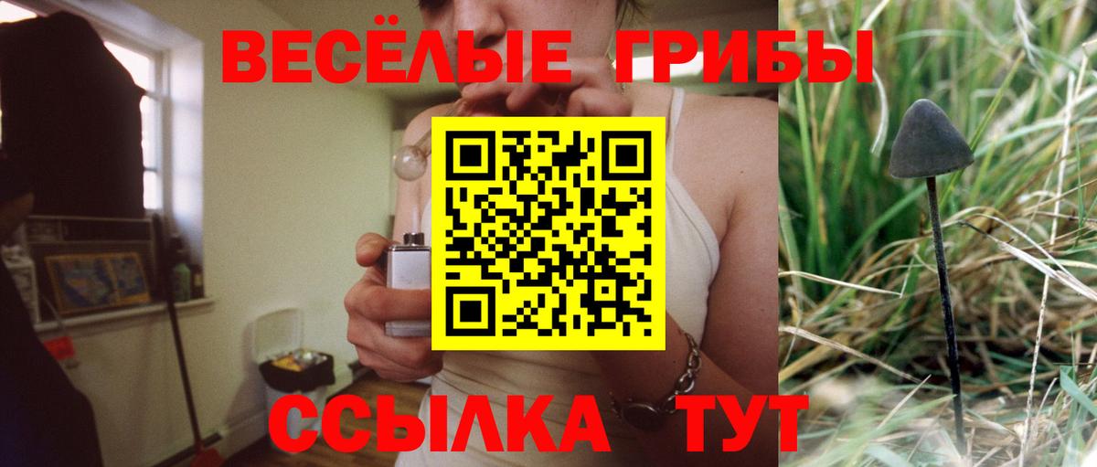 Псилоцибиновые грибы ЛСД  Вход с VPN  Псилоцибиновые грибы мицелий  Кубинка 